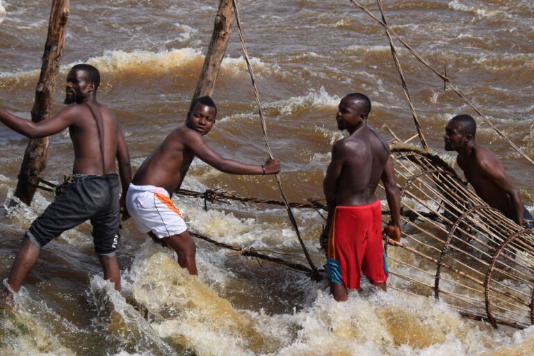 The Last True Great Adventure In Africa: Three Weeks On The Congo River Four men are standing in a rushing river with a large, basket-like structure, possibly fishing or working on something in the water.